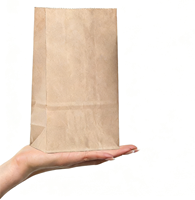 Sacs en papier kraft jetables à fond carré auto-ouvrants de qualité alimentaire pour la vente en gros et la livraison de repas à emporter