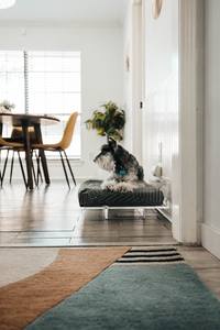 Kunden spezifische Haustier produkte Haustier liefert Acryl-Haustier bett - Product Image 3