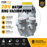 Pompe à vide à anneau liquide FORYOU PUMP 2BV2061 52m³/h pour évaporation sous vide, traitement chimique, anti-explosion