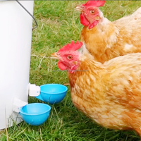 Abreuvoir automatique en plastique de haute qualité YYC pour volailles, bol à eau pour poulets, gobelet à eau pour poulets
