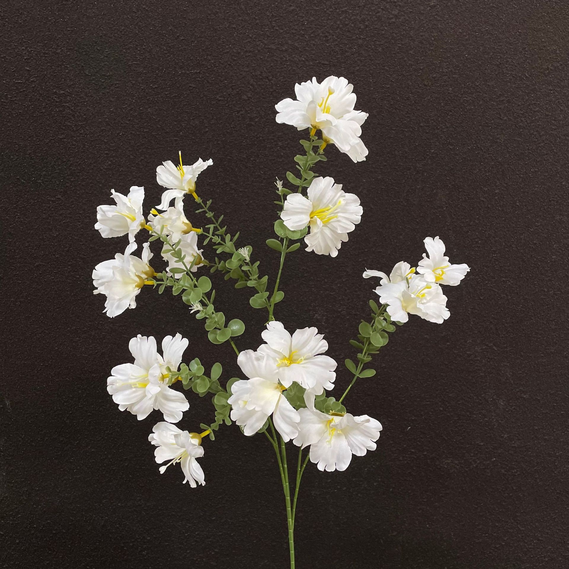 Grande fleur blanche qui tremble au vent
