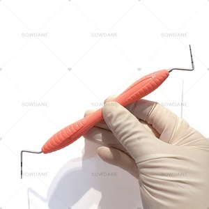 Sonda parodontale dentale con Scaler Dental Explorer strumento strumento dentista strumento endodontico in acciaio inox CPI sonda - Product Image 5