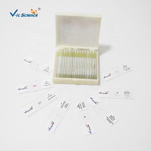 25個の基本的な医学生スライド準備された顕微鏡組織学スライド教育リソース - Product Image 4