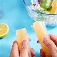 Sacs à glaces jetables en plastique PE de qualité alimentaire, écologiques, avec fermeture éclair, moules à glaces DIY pour smoothies aux fruits, jus, yaourt