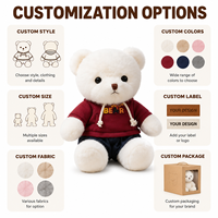 Fabricant OEM/ODM de jouets en peluche ours à capuche blancs personnalisés, directement de l'usine, pour marques de distributeurs et commandes en gros, porte-clés en peluche