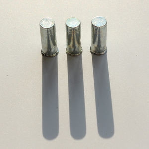 공장 공급 맞춤형 크기 작은 머리 수직 줄무늬 블라인드 홀 디자인 리벳 너트 산업 부문 고정 너트 - Product Image 1