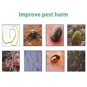 Équilibré en termes de vitamines et de minéraux, favorise la récupération après une infection parasitaire - Product Image 4