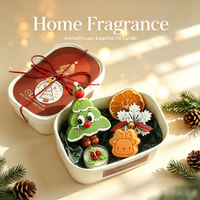 Panier de soins corporels de beauté pour les fêtes, bougie parfumée de Noël et boîte cadeau décorative botanique pour le festival de Noël
