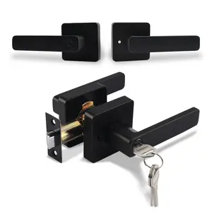 Vendita calda OEM americano moderno impugnatura leva della porta tubolare cilindrico Lockset maniglie con chiave con chiusura a scatto