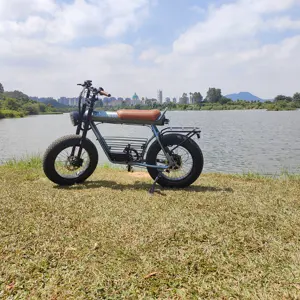 Bán Sỉ Xe Đạp Điện 2 Chỗ Ebike Thành Phố Bán Sỉ Giảm Giá Mạnh Cho Xe Đạp Điện Bộ Giảm Xóc Trước Pin Lithiumion Của Nhà Sản Xuất Trung Quốc