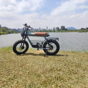 COSWHEEL סיטונאי עיר Ebike 2 מושב חשמלי אופניים סין יצרן מכירה לוהטת E אופני Lithiumion סוללה קדמי בולם זעזועים