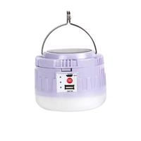 Lampe solaire d'urgence LED pour le camping 30W 50W DC5V Chargement de téléphone Intelligent USB led ampoule solaire rechargeable