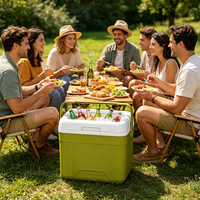 Glacières isothermes portables 10L pour pique-niques, camping, réceptions en extérieur et conservation des boissons au frais