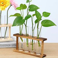 Récipient en verre pour plante d'air de bureau vintage avec support en bois porte-vase en verre décoratif pour bureau à domicile