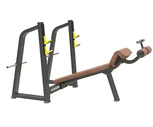 兰博专业力量训练长椅健身房健身器材