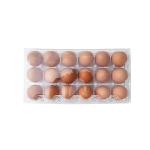 Blíster desechable transparente de 28 agujeros, cartón de huevos, bandeja de huevos de plástico transparente para <span class=keywords><strong>granjero</strong></span> - Product Image 3