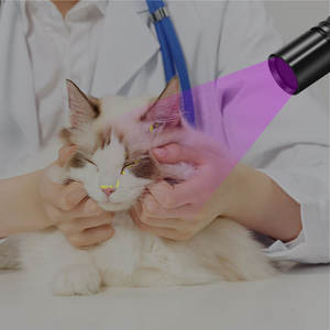 Torcia LED UV Tascabile Orlite, Confezione da 4, 365nm, Illuminazione Tattica e Sanitaria, Batteria 10, IPX5, 1.5V, per Uso Medico Domestico, Nera - Product Image 6