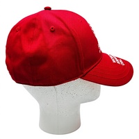 Op maat gemaakte logo borduring multi-color Oxford 100% katoenen baseballcap met verstelbare metalen gespsluiting unisex volwassenen alle seizoenen