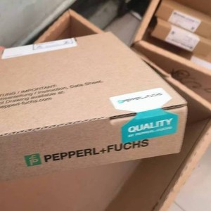 อุปกรณ์ป้องกันไฟฟ้ารั่วไหล Pepperl+Fuchs รุ่น KFD0 ซีรีส์ KFD0-SD2-EX2 สำหรับใช้งานในอุตสาหกรรม - Product Image 3