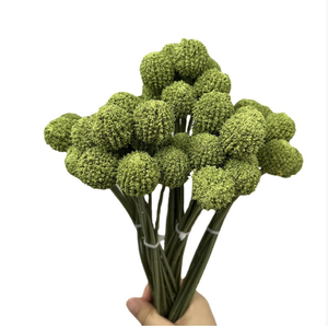 Ramo de Craspedia Artificial de Seda para Decoración del Hogar, Arreglos Florales para el Día de San Valentín y Graduación - <span class=keywords><strong>Billy</strong></span> Balls Amarillo Dorado - Product Image 5