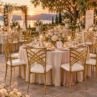 Chaises de banquet empilables de luxe en métal doré caméléon pour événements, mariages, hôtels et cérémonies en extérieur – Vente en gros