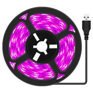 2021 Neue LED-Vollspektrum-Phyto-Lampe USB 5V Grow Light Strip 0,5 m 1m 2m 3m 2835 SMD-Pflanzen Grow Light Strip