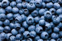 Mesin Sortasi Warna Cerdas Blueberry AI, Pasokan Pabrik Mesin Sortasi Kualitas Blueberry, Mesin Penyortir Buah Beri