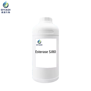 Esteraz SJ80 Kağıt Yapım Enzimi Lipaz, Atık Kağıt Hamurlama Sürecinde Oluşan Yapışkanlığı Bozmak İçin Kullanılır - Product Image 1