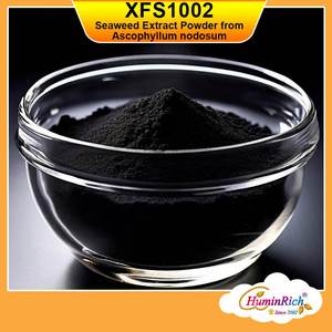 HuminRich XFS1002 Poudre d'extrait d'algues Ascophyllum Nodosum de source végétale biologique pour une croissance accrue des plantes et la santé du sol - Product Image 5