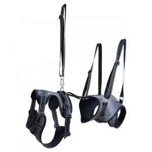 Imbracatura di Supporto per la Mobilità degli Animali Domestici con Etichetta Privata Personalizzata, Taglie S-XL, Imbracatura Completa per Cani Anziani, Produzione e Fornitura - Product Image 2
