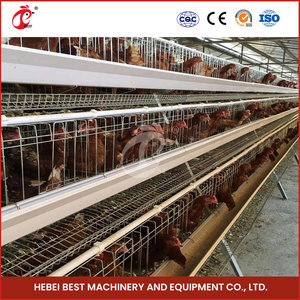 Utilisation optimisée de l'espace un type de modules de système de cage de poulet de couche automatique pour les poules 96-200 soutenant la gestion efficace de ferme - Product Image 6