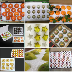 วัสดุกันกระแทกแบบเม็ดโฟม EPE รูปทรงไม่สม่ำเสมอ ยี่ห้อ Asahi Ken Pearl Cotton สำหรับป้องกันไวน์  สามารถปรับแต่งได้ - Product Image 2