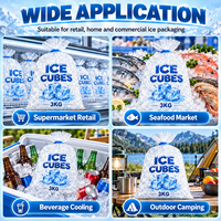 Sac à glace en LDPE épaissi, résistant aux fuites, capacité de charge de 3 kg à 10 kg, pour vente en gros aux détaillants et aux commerçants de boissons (ODM/OEM)