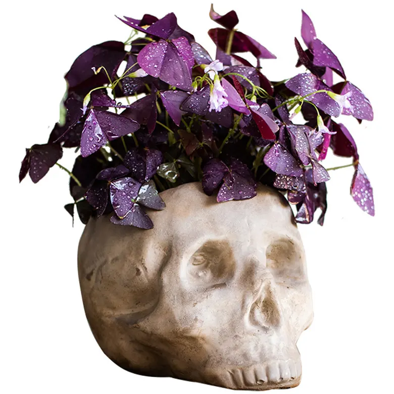Cement Skull Flowerpot   Artistic Personality Decoration   Potted Green Plants Planting Balcony Garden for Home Decor Flowerpot