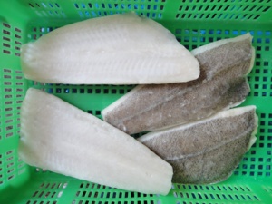 Cá Vược Làm Từ Cá Vược Đông Lạnh - Product Image 2