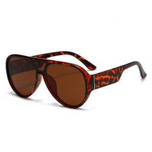 Nuovi Occhiali da Sole Cross-border Pilot UV400 con Lenti Marine a Doppio Ponte, Montatura Grande Retrò di Tendenza, Modello Chance 1962 Ins - Product Image 6