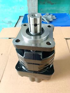 Bomba Química de Acero Inoxidable de Alta Resistencia para Tratamiento de Aguas Residuales, Totalmente Cerrada, Refrigerada por Ventilador, Garantía de 3 Años, OEM/ODM - Product Image 6