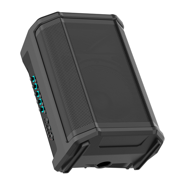 V 8-Inch Rechargeable Bluetooth Portable Speaker PA Speaker with Mic/Guitar Input and LiFePO4 Battery