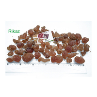 Gomme arabique d'acacia multi-usages de marque Rikaz, provenant directement du Soudan (Afrique), additif alimentaire, supplément, granulométrie moyenne et fine