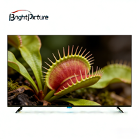 TV OLED Pintar BRIGHT PICTURE BP-TV-004 4K dengan HDR10+ Kecerahan 5000 cd Garansi 1 Tahun