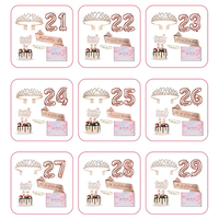 Kit Tiare et Écharpe d'Anniversaire 13ème/30ème Anniversaire en Gros OEM/ODM avec Épingle Perle, Ceinture d'Écharpe d'Anniversaire, Décorations de Fête d'Anniversaire pour Adultes
