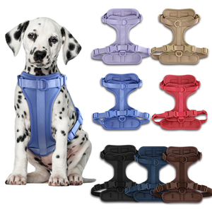 Hot Selling Factory Großhandel Custom Logo PVC Hunde halsband und Leine Geschirr Set Weiche PVC Jagd Hunde halsband Wasserdichte Leine - Product Image 4