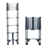 Échelle télescopique 20 pieds, échelle décorative, échelle en aluminium pour tente de toit