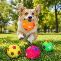 Jouet pour chien YIDUO en gros : balle de football lumineuse et couineuse à picots, en TPR, élastique, pour le nettoyage des dents, à mâcher, pour chiots et chiens de petite et moyenne taille, pour les molaires