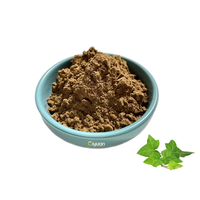 Poudre de feuille de lierre séchée à l'extrait de plantes fourni par l'usine de qualité supérieure 5%-10% Emballage de tambour Hederacoside