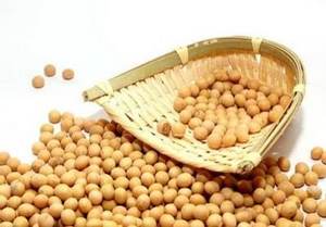 HARGA TERBAIK kualitas tinggi bubuk kacang kedelai Ekstrak kacang kedelai isoflavon bubuk kedelai Isoflavone - Product Image 2