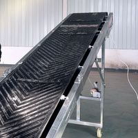 Élévateur à godets automatique de type Z OEM avec système de trémie inclinée, convoyeur à bande anti-UV résistant à l'huile, garantie 1 an