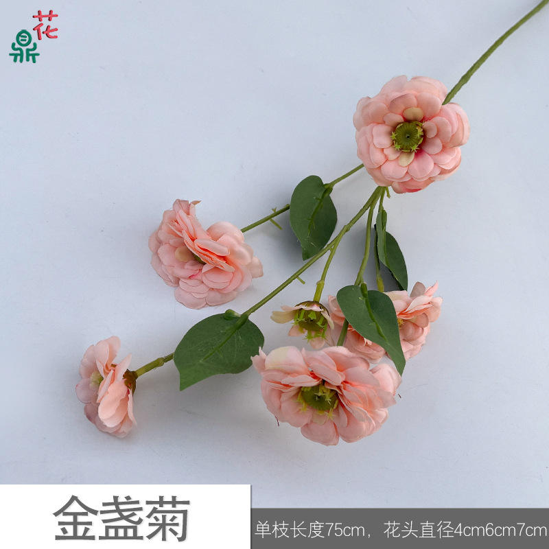 Calendula jyg dark pink