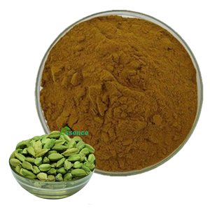 Migliore qualità naturale estratto di cardamomo verde cardamomo verde estratto in polvere 4:1 10:1 cardamomo semi di <span class=keywords><strong>Elettaria</strong></span> Cardamomum estratto - Product Image 1
