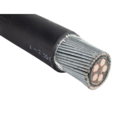 Câble d'alimentation souterrain pour photovoltaïque, conducteur en cuivre 600/1000V, isolation XLPE, blindage en bande d'acier, gaine LSZH